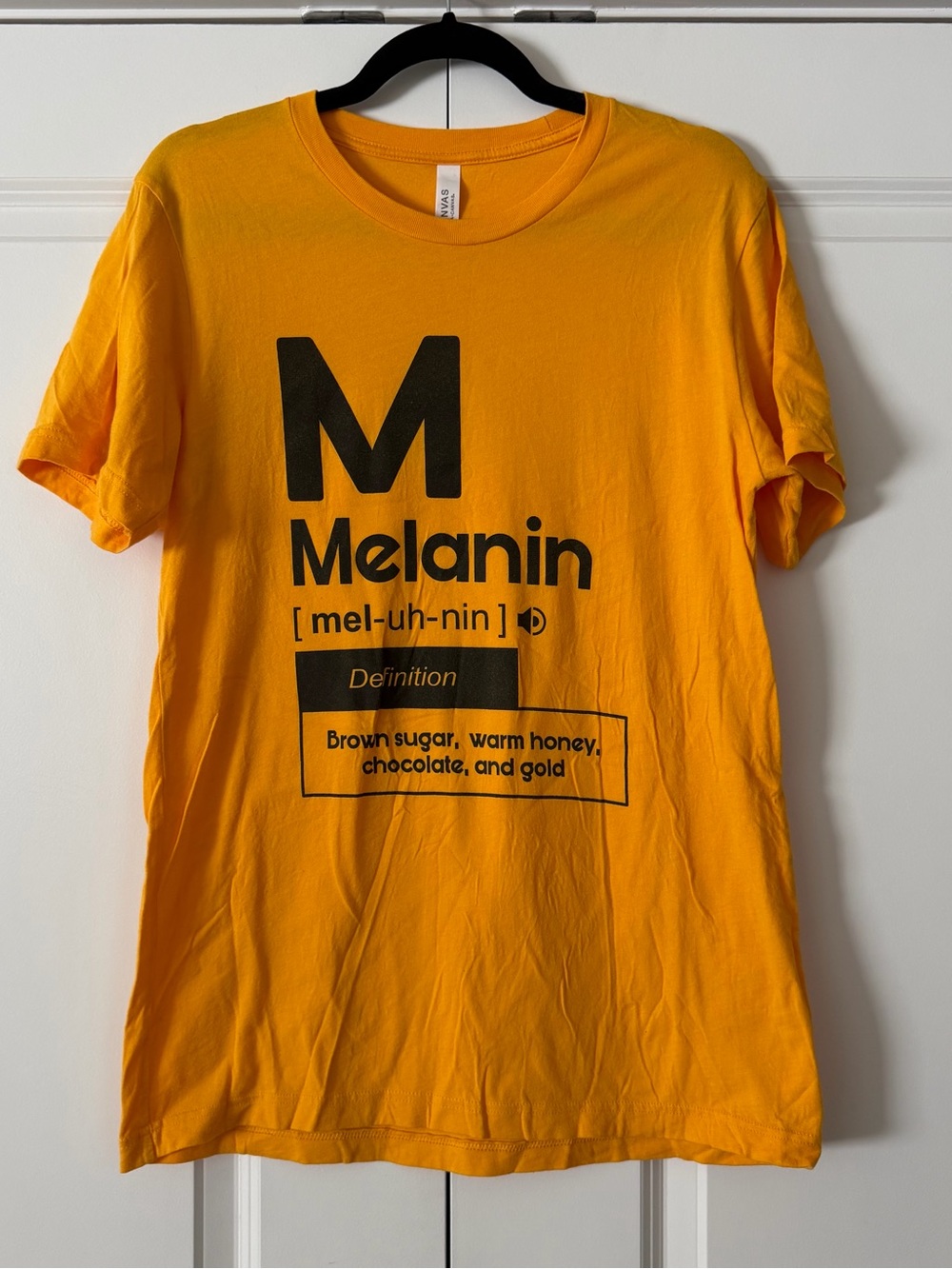 Melanin Definition Graphic Tee